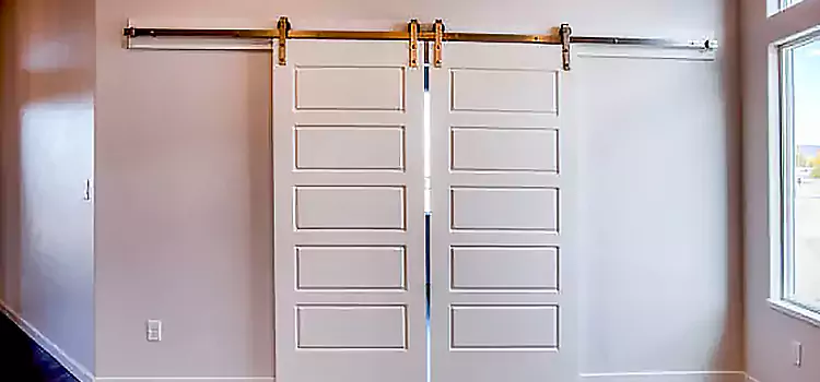 Glass Barn Door with Installation Hardware Kit Kincardine